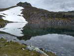 Bjørnastighornet