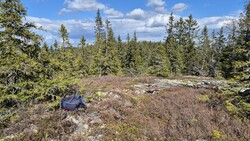 Svanstulfjellet Sørvest
