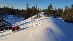 Nordre Romsæterberget
