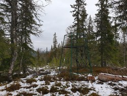 Ormhøgda