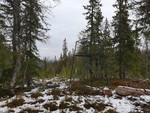 Ormhøgda