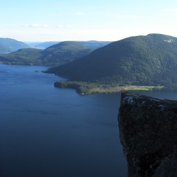 Ørnenapen