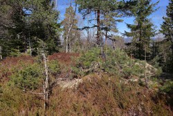 Veierødseteråsen