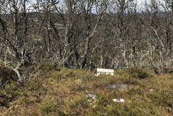 Gausdalsberget