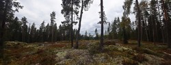 Eievarden Sør