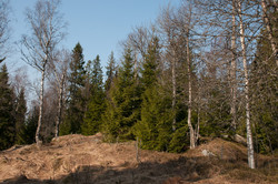 Vesle Tonekollen