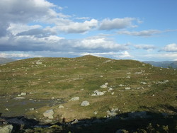 Torsdalsristi
