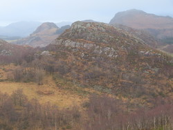 Reiarshei