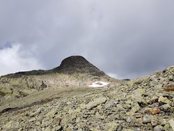 Mugneøret