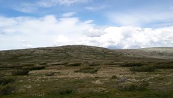 Rundvola