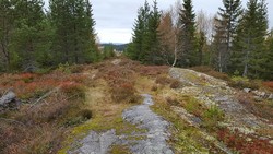 Trettrota