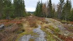 Trettrota