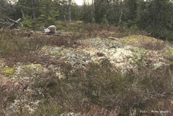 Gransjøberget