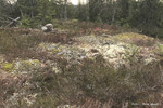 Gransjøberget