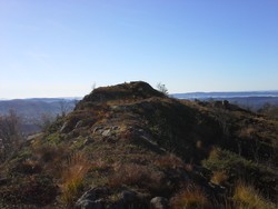 Orrehaugane