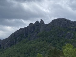 Hårlandsnepane