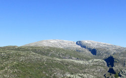 Øvstaflui