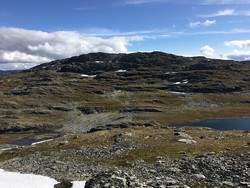 Raudnosi