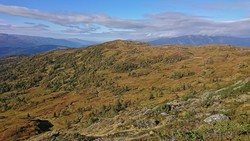 Såta