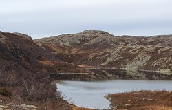 Krosstjønnhovdun