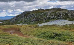 Tjønngrønuten