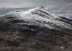 Storegut