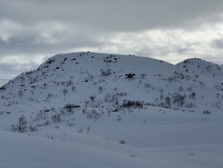 Litle Bjødnefjell
