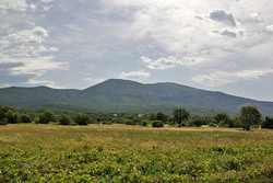 Velika Promina
