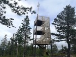 Ryggetangslettås-tårnet