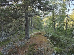 Sør for Kverntjern