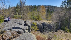 Høgåsene