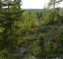 Korpåsen