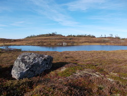 Gaukhaugan