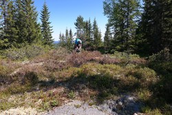 Fugleleikhøgda