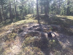 Lauvåsen