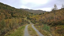 Nyestølen Vest
