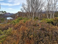 Ullberget