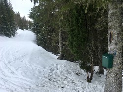 Åsabua