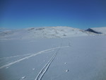 Holhøe