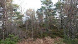Storåsen