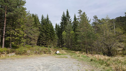 Skaret p-plass