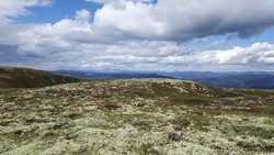 Bånseterhaugen