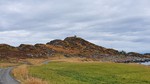 Hornhamaren