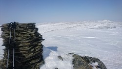 Rondhaugen