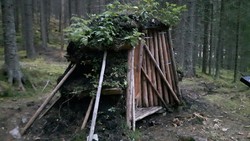 Kulmile Harestuskogen