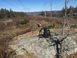 Nordbyåsen