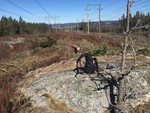 Nordbyåsen