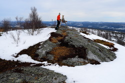 Risknappen