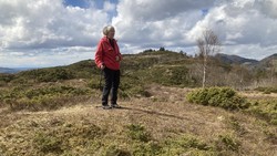 Birkelandsnipa Sørøst