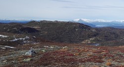 Falken øst-1